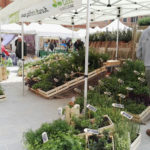 Esposizione fiere - 2016