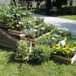 Esposizione in fiere - 2016