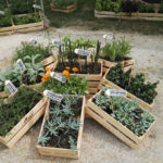 Esposizione fiere - 2016