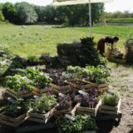 Esposizione fiere - 2016