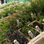 Esposizione Modena - 2016