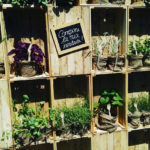 Esposizione orticola 2016