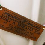 Premio “Fiori a Mirano” 2016: 1° classificato “Miglior espositore”