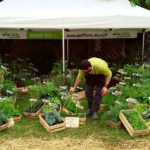 Franciacorta in fiore edizione 2016