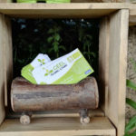 Geel Floricultura - biglietti