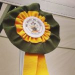 Premio “Nel segno del Giglio” 2016: 1° premio al merito