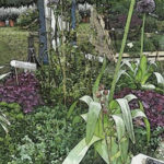 Nel segno del giglio 2016