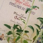 Premio “Noale in Fiore” 2016: Diploma di merito “Miglior allestimento”