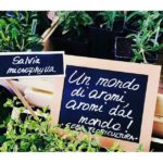 Vita in campagna - 2016