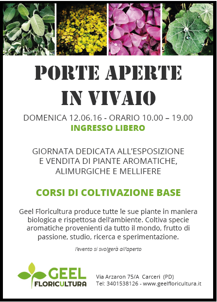 volantino porte aperte