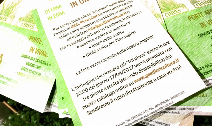 Di erba in erba in uno scatto