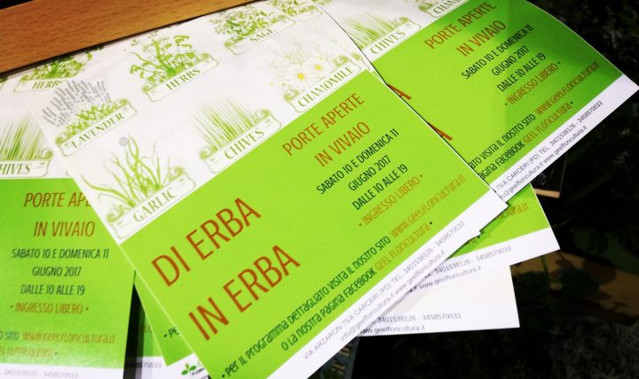 Programma di Erba in Erba 2017