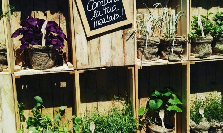 Fairs of the month of April and May 2019