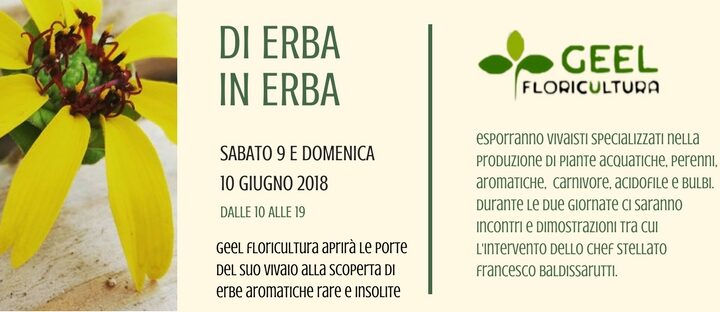 Di Erba in Erba – Porte Aperte in Vivaio 2018