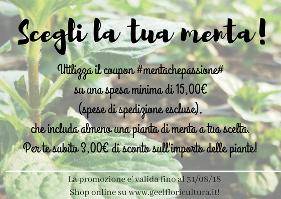 I nostri summer discounts: Mentachepassione!