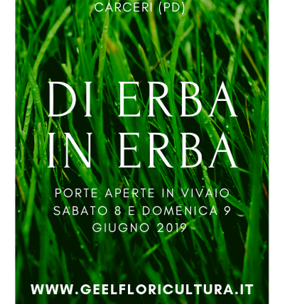 Erba in Erba 2019 program - Open doors in the nursery
