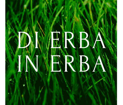 Useful info of Erba in Erba 2019 - Open Doors in the Nursery