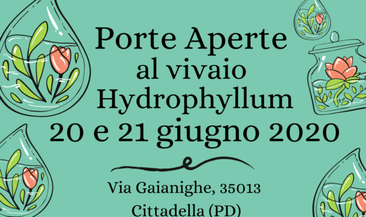 Open doors at the Hydrophyllum nursery - 20 and 21 June in Cittadella