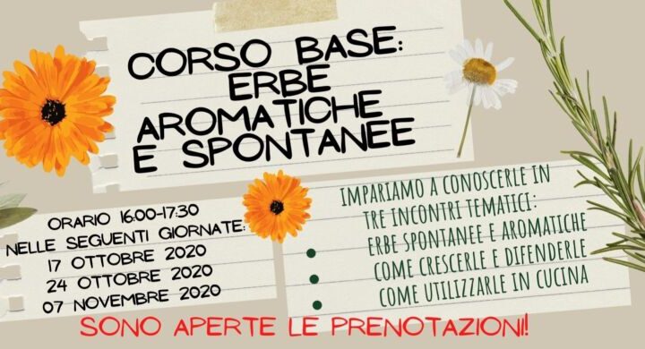 Basic course: aromatic and spontaneous herbs