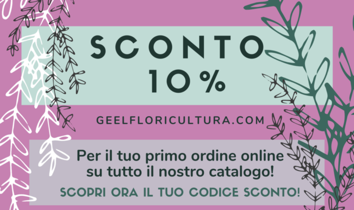 Primo ordine online? Approfitta del nostro 10% di sconto!