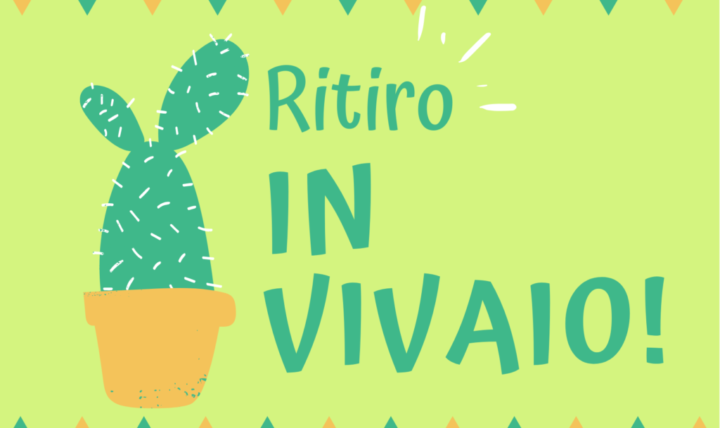 Novità online: opzione ritiro in vivaio