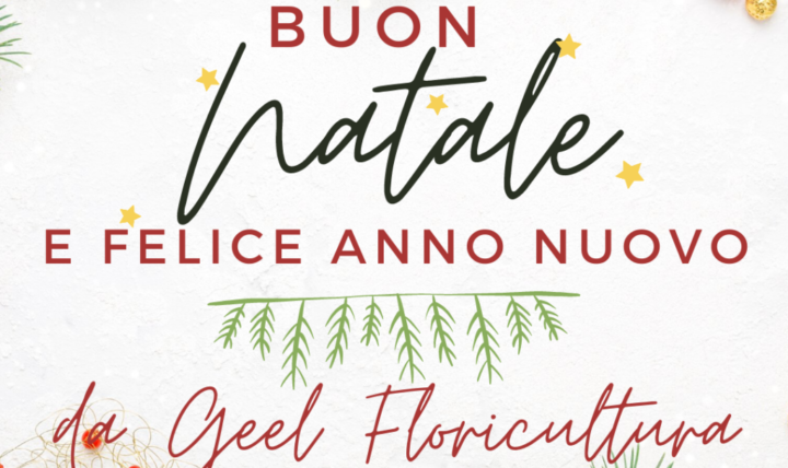Frohe Weihnachten und ein glückliches neues Jahr von Geel Floricultura