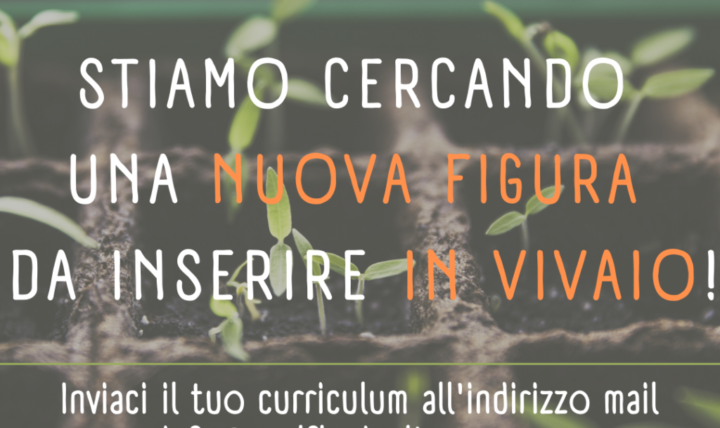 We are looking for a new figure to be included in the nursery!