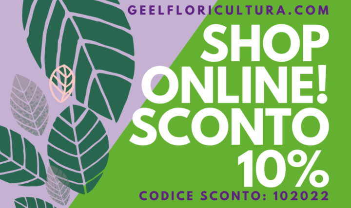 Shop online con il nostro sconto 10%!