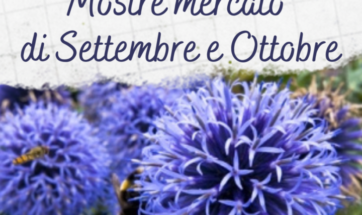 Market exhibitions calendar for September and October 2022