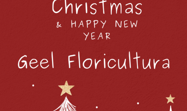 Happy Holidays from Geel Floricultura
