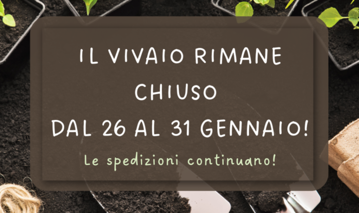 Closed from 26 to 31 January: we'll be right back!