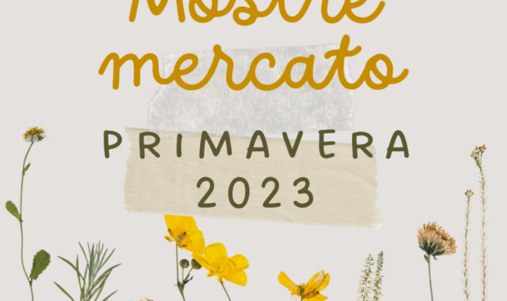 Spring exhibitions: March, April and May 2023