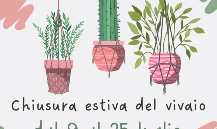 Chiuso per ferie dal 9 al 25  luglio!