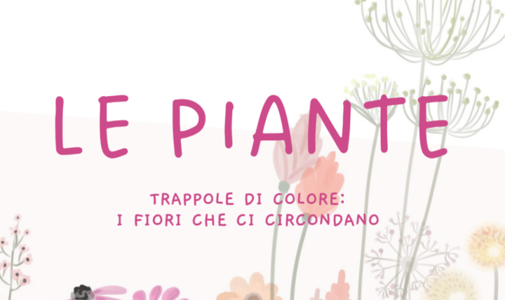 Farbfallen: die Blumen, die uns umgeben