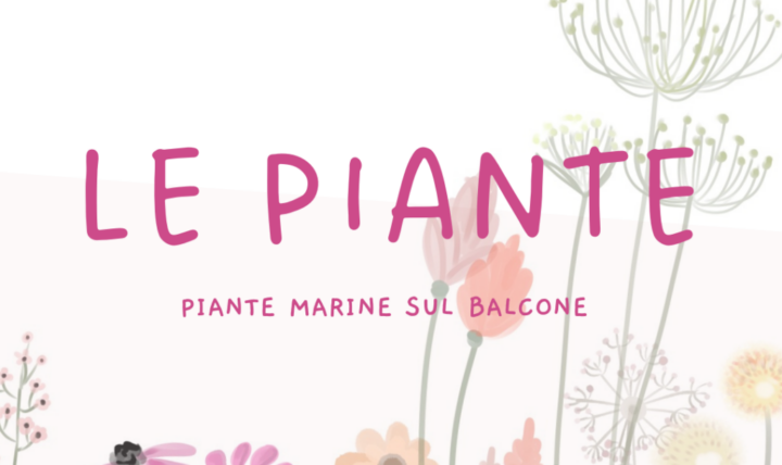 Meerespflanzen sogar auf dem Balkon!
