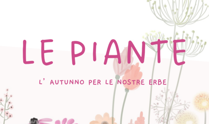 Herbst für unsere Kräuter