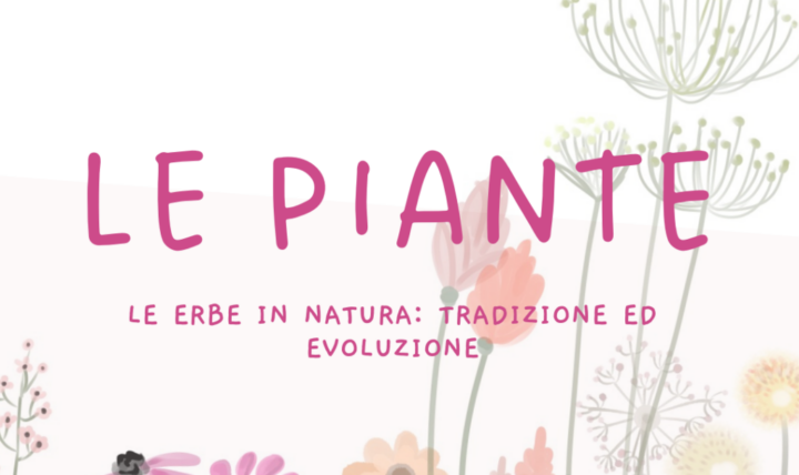 Kräuter in der Natur: Tradition und Evolution