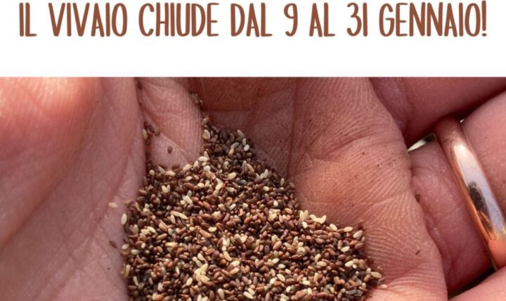 Lavori in corso: il vivaio chiude dal 9 al 31 gennaio!