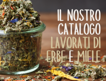 Il nostro catalogo prodotti: miele e lavorati di erbe km0