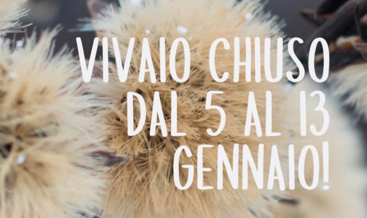 Chiuso dal 5 al 13 gennaio!