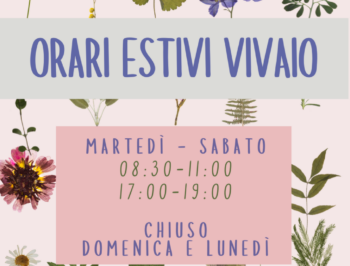 Orari estivi 2025: dal 16 giugno al 31 agosto