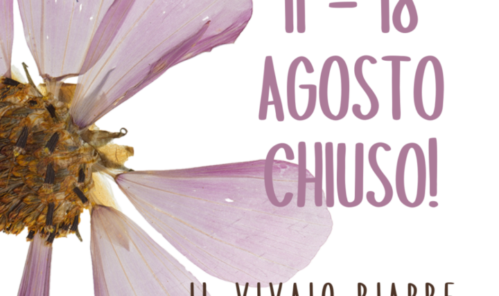 Chiusi per ferie dall’11 al 18 agosto!