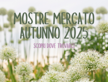 Mostre d’autunno: Settembre e Ottobre 2025