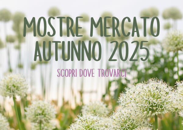 Mostre d’autunno: Settembre e Ottobre 2025