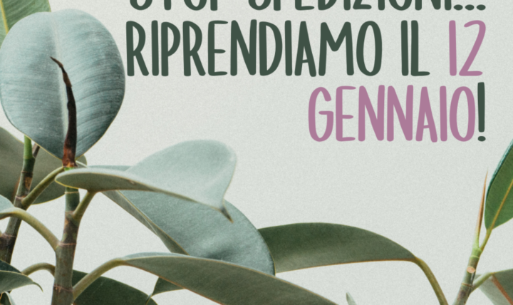 Stop spedizioni…riprendiamo il 12 gennaio!