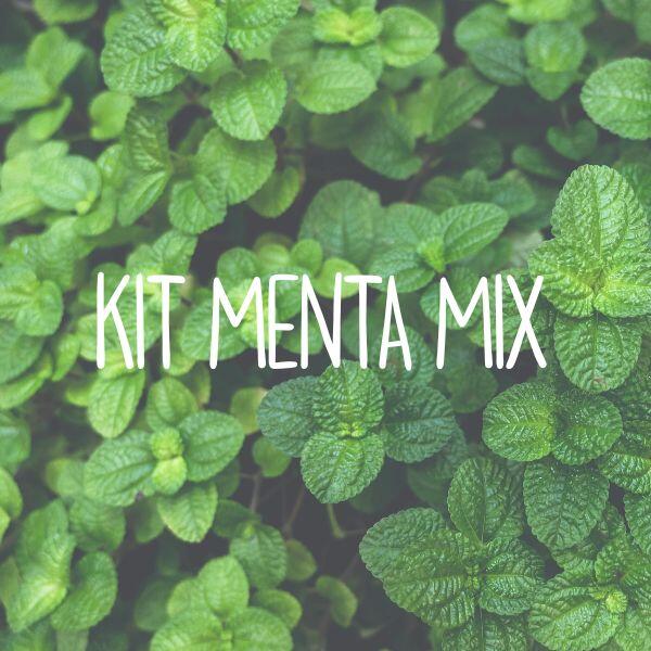 menta kit