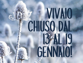 Chiuso dal 13 al 19 gennaio!