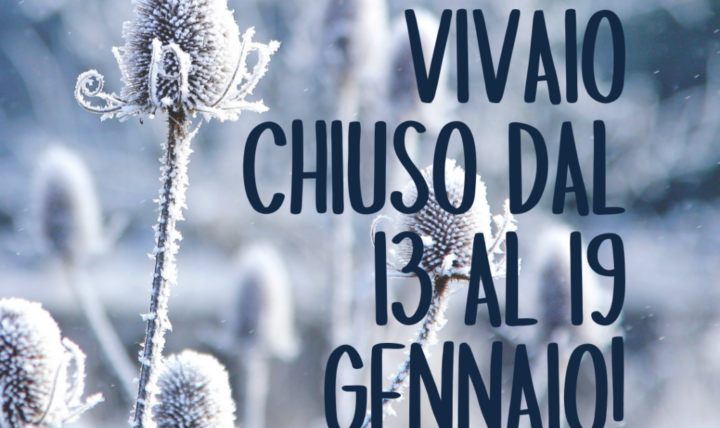 Chiuso dal 13 al 19 gennaio!
