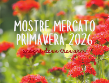 Mostre di primavera: Marzo, Aprile e Maggio 2026