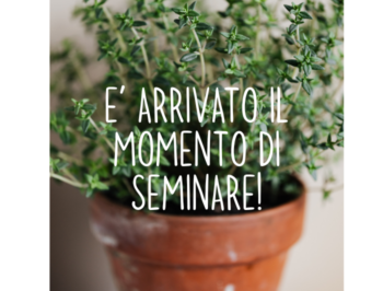 E’ arrivato il momento di seminare!